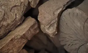 Zbliżenie na kawałki węgla drzewnego, ciemne i chropowate.