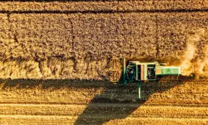 Kombajn zbiera zboże. Rolnicy, walczący o swoje interesy, często widzą w Konfederacji nadzieję na lepszą przyszłość.