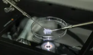 Powrót do dofinansowania in vitro w ramach polityki demograficznej rządu Tuska. Precyzyjne zabiegi w szalce Petriego.