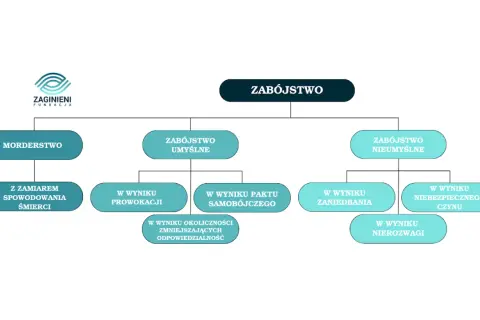 Schemat klasyfikujący zabójstwo: morderstwo, zabójstwo umyślne (z zamiarem, prowokacja, pakt samobójczy, okoliczności zmniejszające odpowiedzialność) i zabójstwo nieumyślne (zaniedbanie, niebezpieczny czyn, nierozwaga).