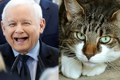 Czy Kaczyński ma kota? Oto co warto wiedzieć o jego pupilach