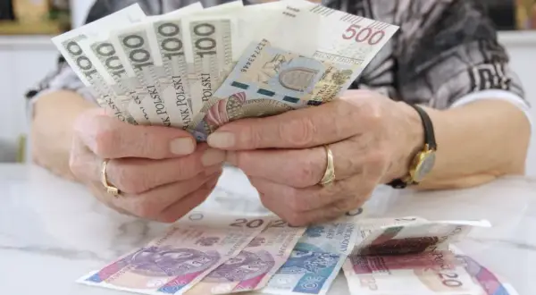 Dłonie z obrączkami trzymają banknoty 100 i 500 zł. Na stole leżą banknoty 20 zł. Czerwcowe emerytury już są!