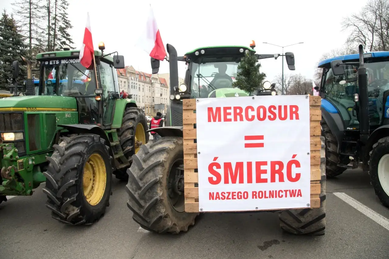 Ciągniki rolnicze z polskimi flagami protestują przeciwko umowie Mercosur, która jest postrzegana jako śmierć polskiego rolnictwa.
